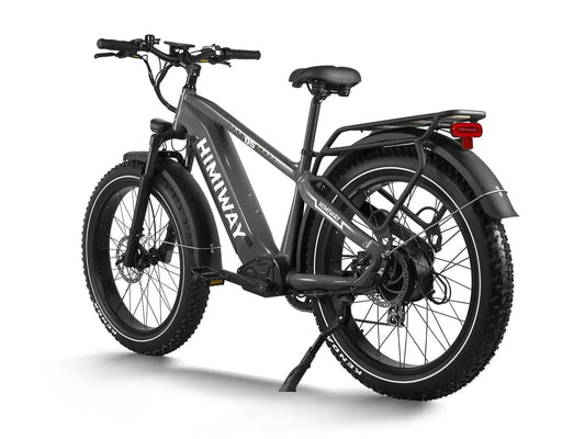 D5(Zebra) / Premium All-terrain Electric Fat Bike