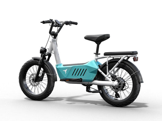 C3 / Cargo Ebike