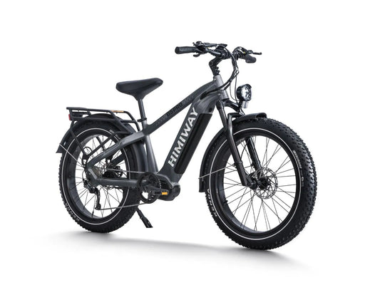 D5 Pro / Premium All-terrain Electric Fat Bike