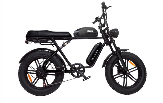 Bear X6 (Dual Battery)