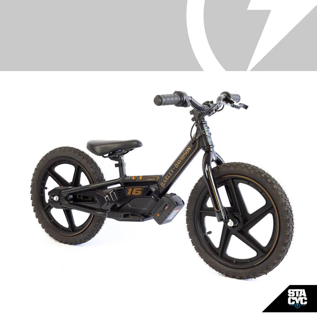 Stacyc H-D 16EDrive Brushless