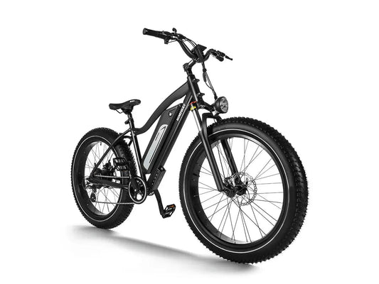 D3(Cruiser) / Long Range Fat Tire Electric Bike