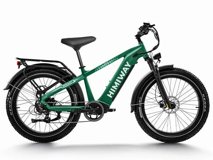 D5(Zebra) / Premium All-terrain Electric Fat Bike