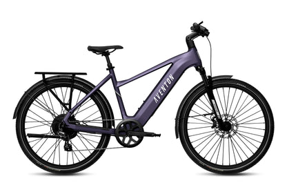 Level 3 Commuter Ebike