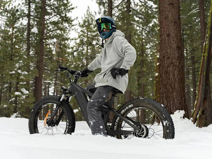 D7(Cobra) / Full Suspension Electric Hunting Bike