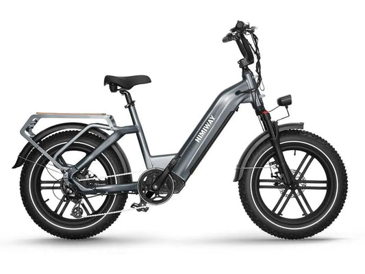Big Dog / Electric Cargo Bike