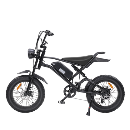 LAMBO EB-V2 Electric Bike 48V 1000W