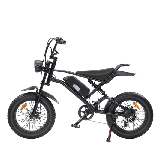 LAMBO EB-V2 Electric Bike 48V 1000W