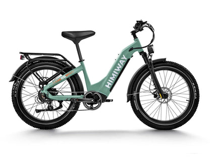 D5 ST(Zebra ST) / Premium All-terrain Electric Fat Bike