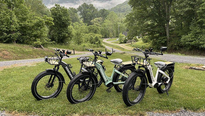 D5 ST(Zebra ST) / Premium All-terrain Electric Fat Bike