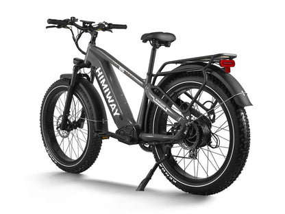 D5(Zebra) / Premium All-terrain Electric Fat Bike