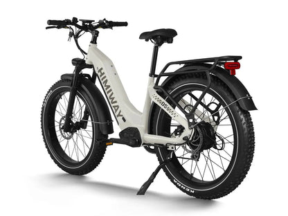 D5 ST(Zebra ST) / Premium All-terrain Electric Fat Bike