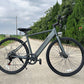 Freego E7 Electric Mountain Bicycle For City Riding