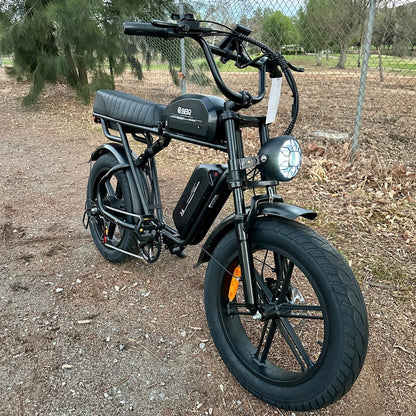 Bear X6 (Dual Battery)