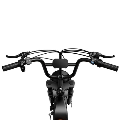 AMYET/OOKTECH G60 1000W 20Ah Electric Bike