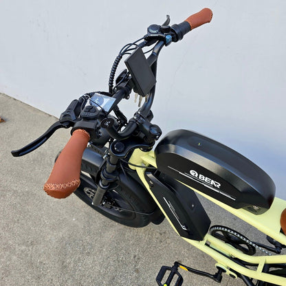 Bear X6 (Dual Battery)