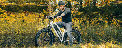D5 Plus(Rhino) / Dual Battery Off-road Electric Bike