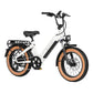Big Sur Sport Ebike