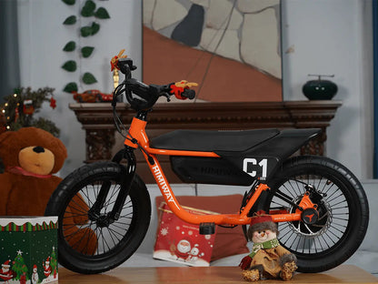 C1 / Kids Electric Bike