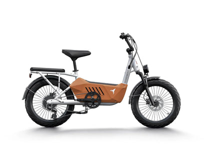 C3 / Cargo Ebike