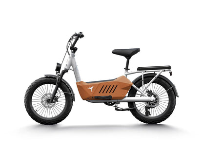 C3 / Cargo Ebike