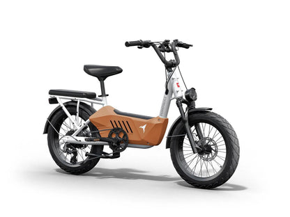 C3 / Cargo Ebike