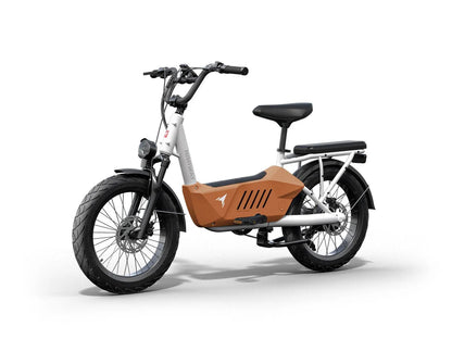 C3 / Cargo Ebike