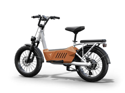 C3 / Cargo Ebike