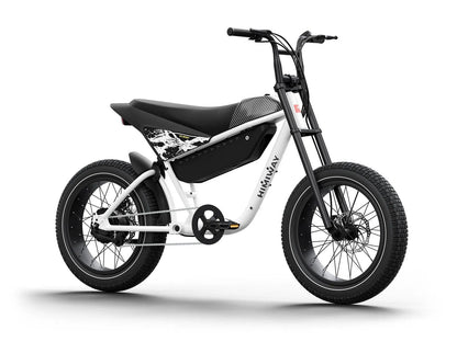 C5 / Electric Motorbike