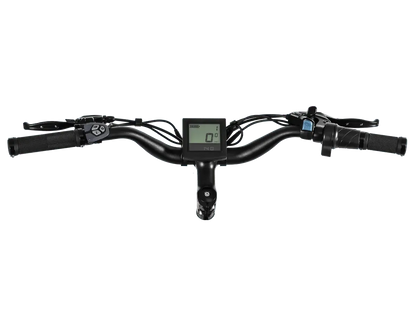 D3(Cruiser) / Long Range Fat Tire Electric Bike