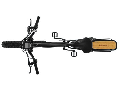 D3(Cruiser) / Long Range Fat Tire Electric Bike