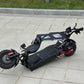 Freego Landtiger Electric Scooter Foldable Dual Motor 4000W