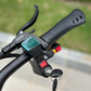 Freego Landtiger Electric Scooter Foldable Dual Motor 4000W