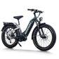 D5 Pro ST / Premium All-terrain Electric Fat Bike