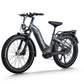 D5 Pro ST / Premium All-terrain Electric Fat Bike