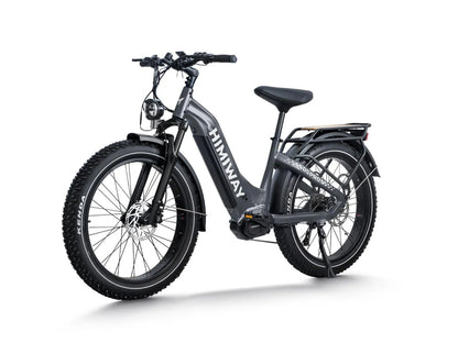 D5 Pro ST / Premium All-terrain Electric Fat Bike
