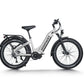 D5 Pro ST / Premium All-terrain Electric Fat Bike