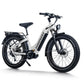 D5 Pro ST / Premium All-terrain Electric Fat Bike