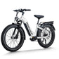 D5 Pro ST / Premium All-terrain Electric Fat Bike