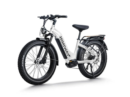 D5 Pro ST / Premium All-terrain Electric Fat Bike