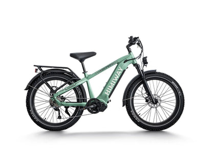 D5 Pro / Premium All-terrain Electric Fat Bike