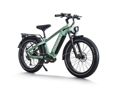 D5 Pro / Premium All-terrain Electric Fat Bike