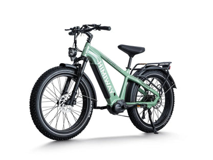 D5 Pro / Premium All-terrain Electric Fat Bike