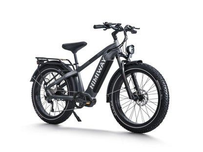D5 Pro / Premium All-terrain Electric Fat Bike