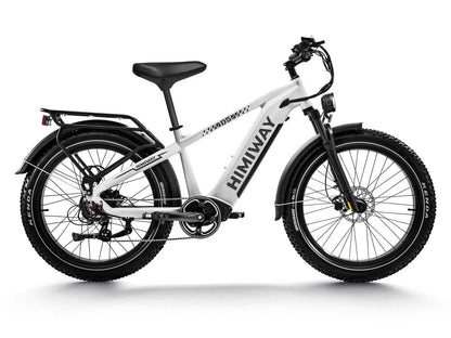 D5(Zebra) / Premium All-terrain Electric Fat Bike
