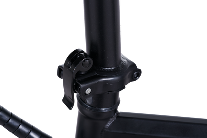 A9 14" Mini Folding Electric Bike 750W Peak Motor 48V 15Ah Battery