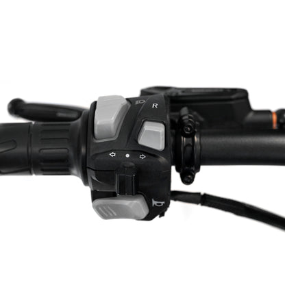 SRPNT X3 - WHITE SAVAGE