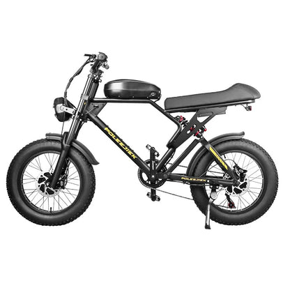 POLEEJIEK Electric Bike 3000W Dual Motors 48V 25.6Ah Battery