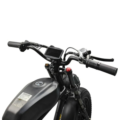 POLEEJIEK Electric Bike 3000W Dual Motors 48V 25.6Ah Battery