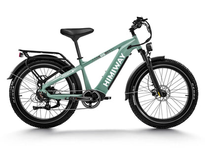 D5(Zebra) / Premium All-terrain Electric Fat Bike